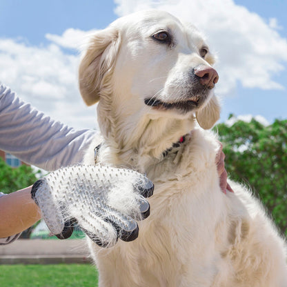 InnovaGoods Pet Brush & Massage Glove
