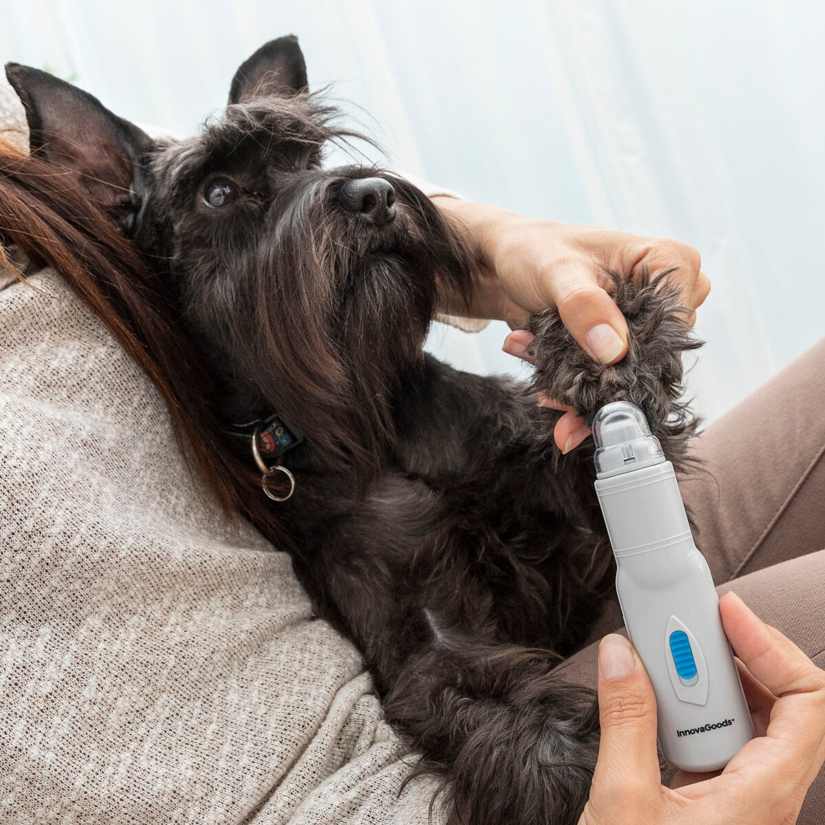 Electric Nail File for Pets PediPet InnovaGoods